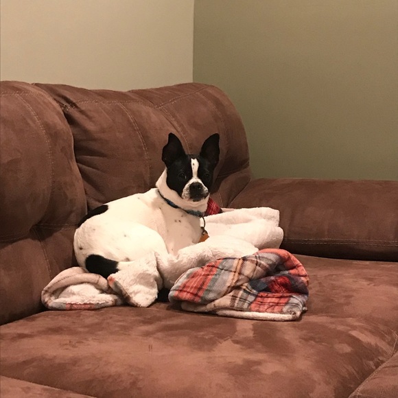 Meet your Posher, Theresa - Picture 1 of 1